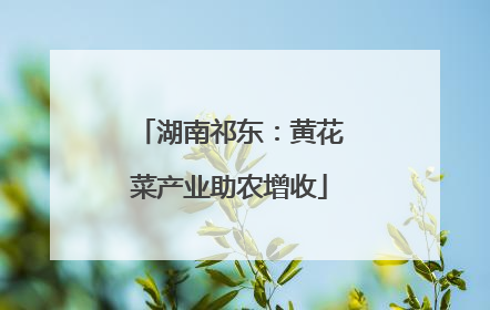 湖南祁东：黄花菜产业助农增收