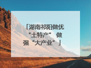 湖南祁阳做优“土特产” 做强“大产业”