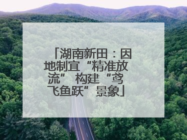 湖南新田：因地制宜“精准放流” 构建“鸢飞鱼跃”景象