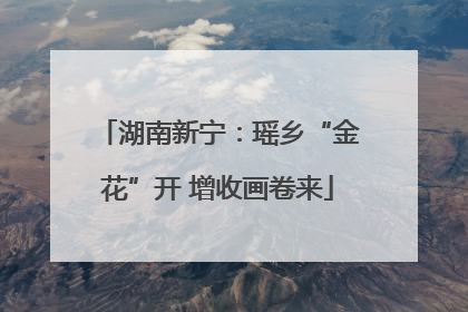 湖南新宁：瑶乡“金花”开 增收画卷来