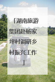 湖南旅游集团赴杨家坪村调研乡村振兴工作