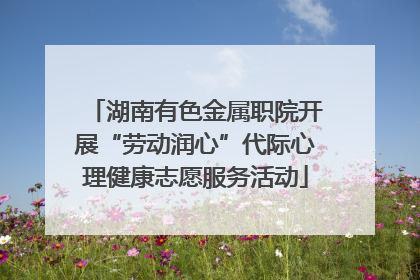 湖南有色金属职院开展“劳动润心”代际心理健康志愿服务活动