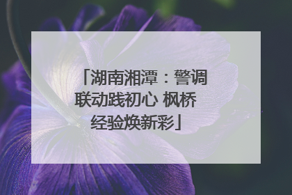 湖南湘潭：警调联动践初心 枫桥经验焕新彩