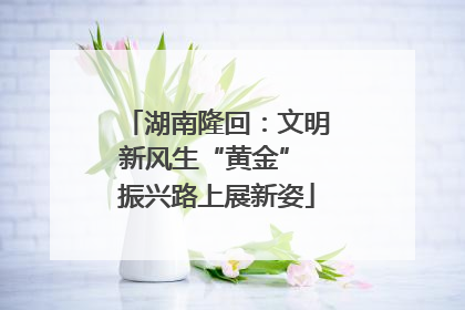 湖南隆回：文明新风生“黄金” 振兴路上展新姿