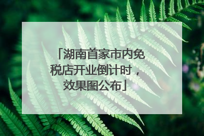 湖南首家市内免税店开业倒计时，效果图公布