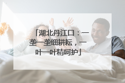 湖北丹江口：一垄一垄细耕耘，一叶一叶精呵护