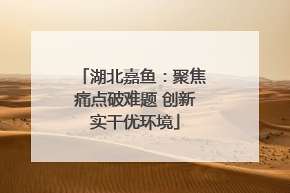 湖北嘉鱼：聚焦痛点破难题 创新实干优环境