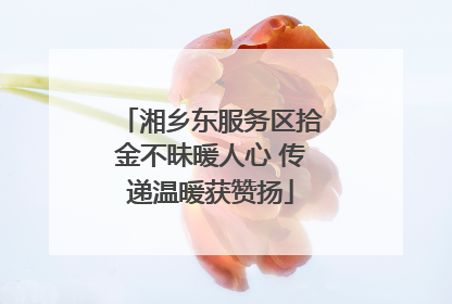 湘乡东服务区拾金不昧暖人心 传递温暖获赞扬