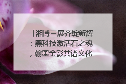 湘博三展齐绽新辉：黑科技激活石之魂，翰墨金影共谱文化遗产日华章