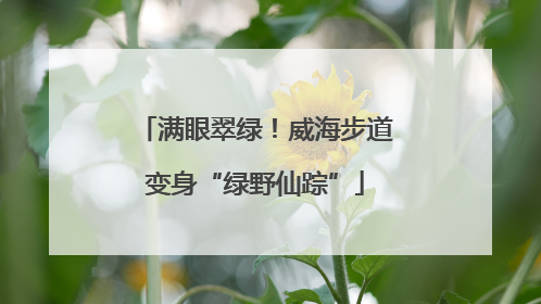 满眼翠绿！威海步道变身“绿野仙踪”
