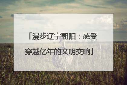 漫步辽宁朝阳：感受穿越亿年的文明交响