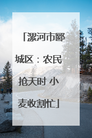 漯河市郾城区：农民抢天时 小麦收割忙