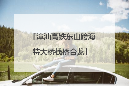 漳汕高铁东山跨海特大桥栈桥合龙