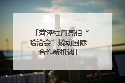 菏泽牡丹亮相“哈洽会”撬动国际合作新机遇