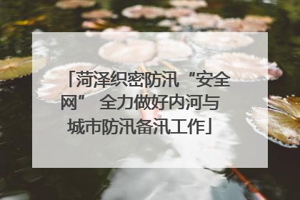 菏泽织密防汛“安全网” 全力做好内河与城市防汛备汛工作