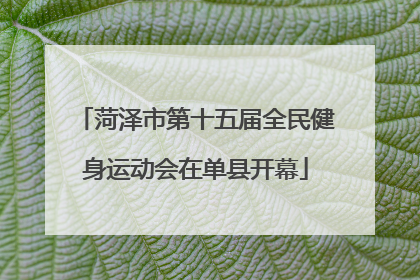 菏泽市第十五届全民健身运动会在单县开幕