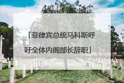 菲律宾总统马科斯呼吁全体内阁部长辞职