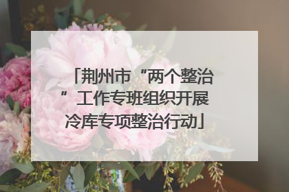 荆州市“两个整治”工作专班组织开展冷库专项整治行动