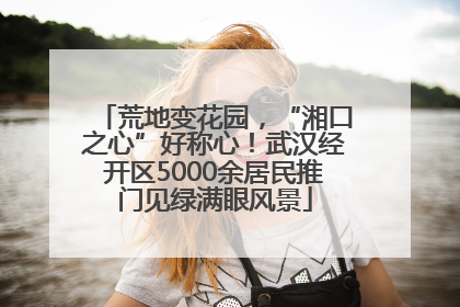 荒地变花园，“湘口之心”好称心！武汉经开区5000余居民推门见绿满眼风景