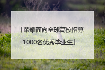 荣耀面向全球高校招募1000名优秀毕业生