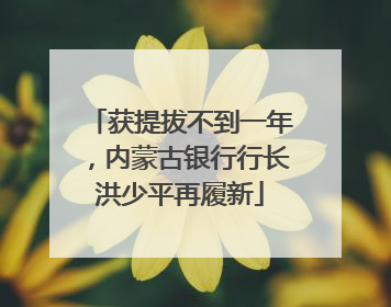 获提拔不到一年，内蒙古银行行长洪少平再履新