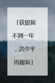 获提拔不到一年，洪少平再履新