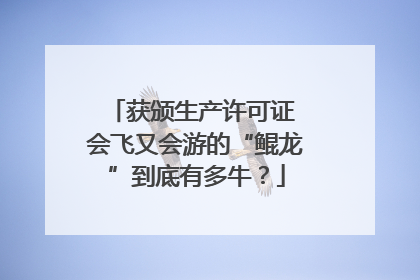 获颁生产许可证 会飞又会游的“鲲龙”到底有多牛？