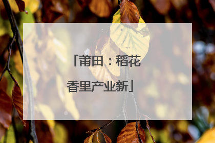 莆田：稻花香里产业新