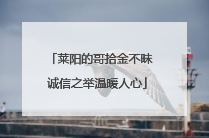 莱阳的哥拾金不昧 诚信之举温暖人心