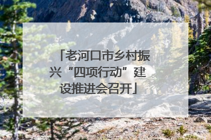 老河口市乡村振兴“四项行动”建设推进会召开