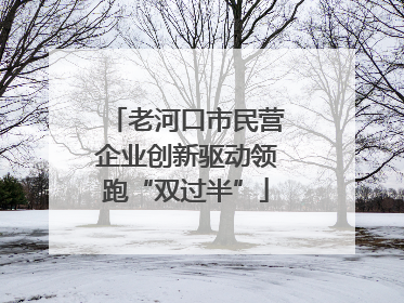 老河口市民营企业创新驱动领跑“双过半”
