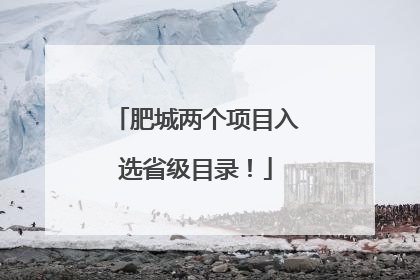 肥城两个项目入选省级目录！