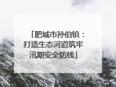 肥城市孙伯镇：打造生态河道筑牢汛期安全防线