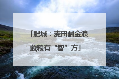 肥城：麦田翻金浪藏粮有“智”方