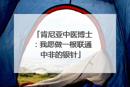 肯尼亚中医博士：我愿做一根联通中非的银针