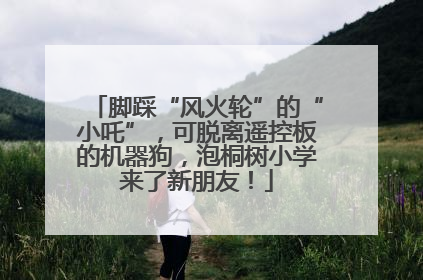 脚踩“风火轮”的“小吒”，可脱离遥控板的机器狗，泡桐树小学来了新朋友！