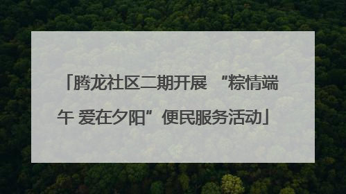 腾龙社区二期开展 “粽情端午 爱在夕阳”便民服务活动