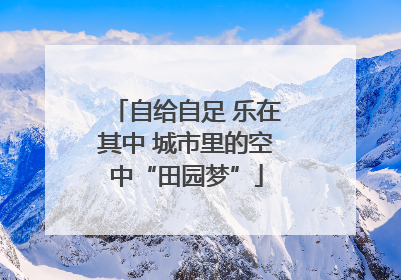 自给自足 乐在其中 城市里的空中“田园梦”