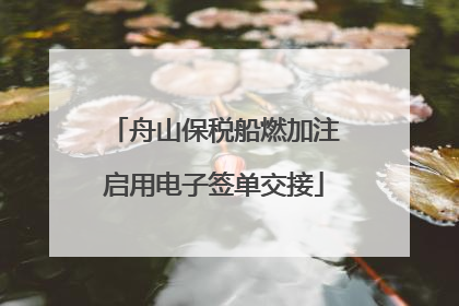 舟山保税船燃加注启用电子签单交接