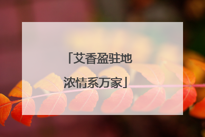 艾香盈驻地 浓情系万家