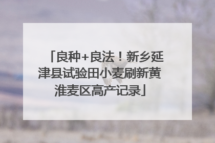 良种+良法！新乡延津县试验田小麦刷新黄淮麦区高产记录
