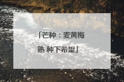 芒种：麦黄梅熟 种下希望