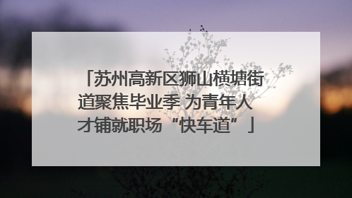 苏州高新区狮山横塘街道聚焦毕业季 为青年人才铺就职场“快车道”