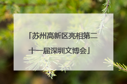 苏州高新区亮相第二十一届深圳文博会