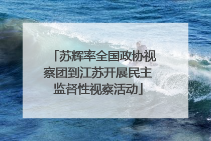 苏辉率全国政协视察团到江苏开展民主监督性视察活动