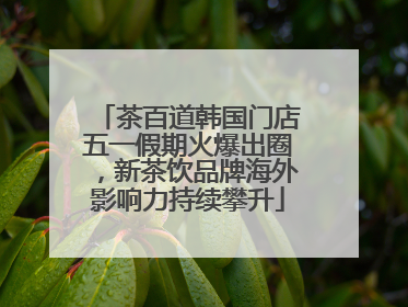 茶百道韩国门店五一假期火爆出圈，新茶饮品牌海外影响力持续攀升