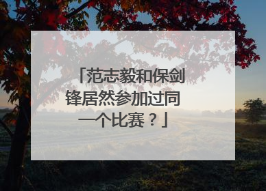 范志毅和保剑锋居然参加过同一个比赛？