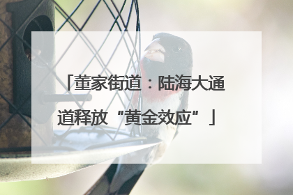 董家街道：陆海大通道释放“黄金效应”