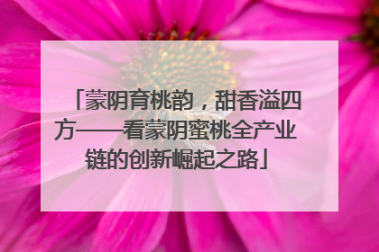 蒙阴育桃韵，甜香溢四方——看蒙阴蜜桃全产业链的创新崛起之路