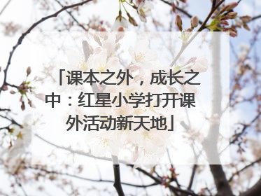 课本之外，成长之中：红星小学打开课外活动新天地
